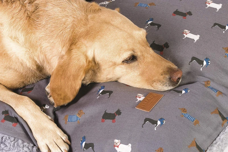Danish Design FatFace Flying Birds Blue/Teal Super Soft Deluxe Pet Dog/Puppy Sustainable Deep Duvet Medium - Image 1