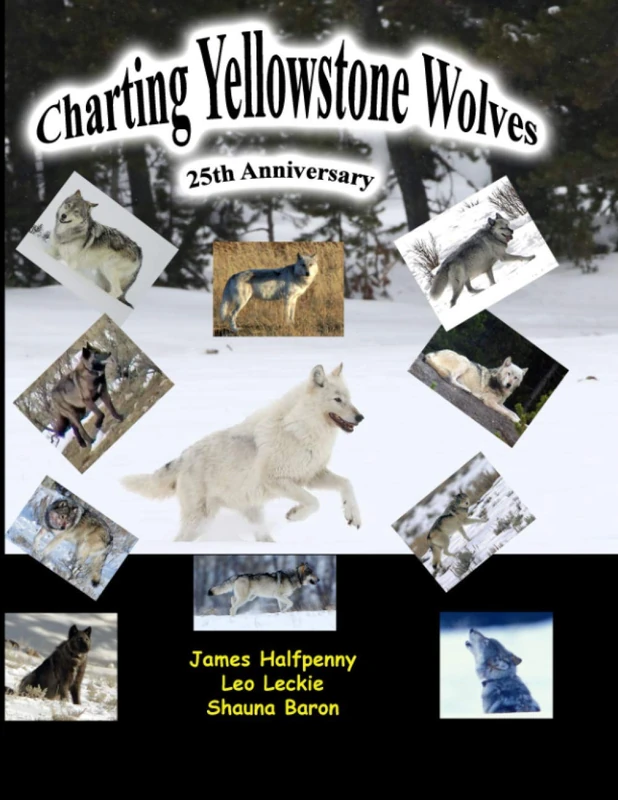 Charting Yellowstone Wolves: 25th Anniversary Edition