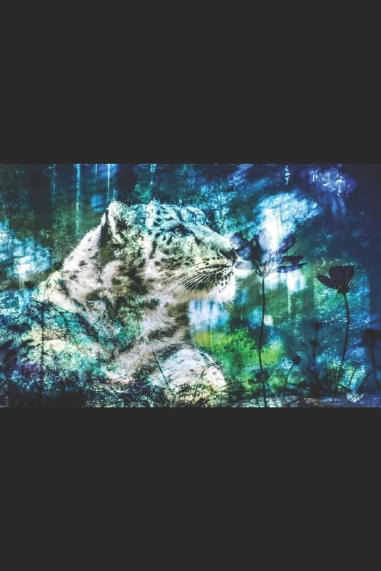 Hyuu~ Age13 ~ Big Adventure with Princess１Innocence