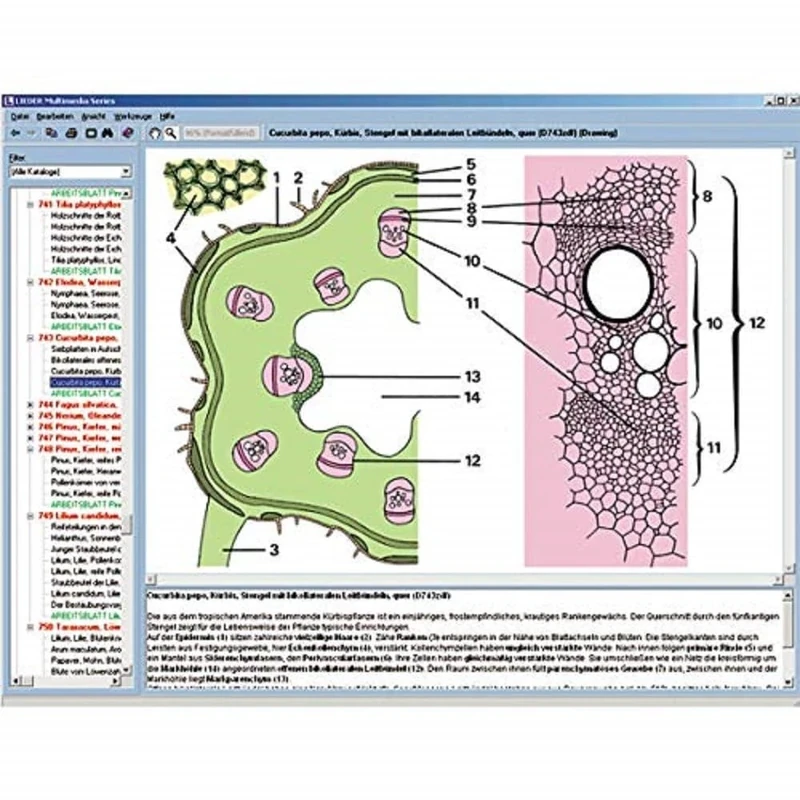 Lieder CD with micro images for school series C