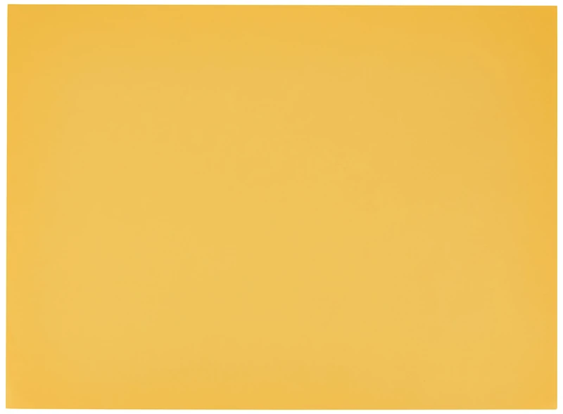 Blade 55x75 (25) Canson Mi-Teintes 60% Bee 160g (400)