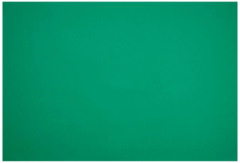 Blade 75x110 (25) Canson Mi-Teintes 60% Bee 160g (575)