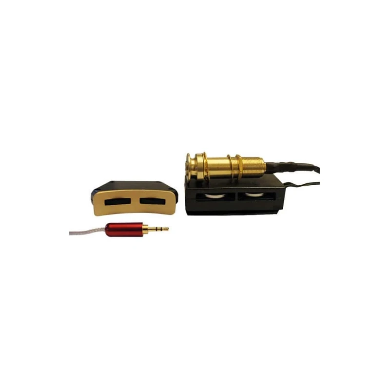 Santana-T200 - Pickup system for Acoustic Guitar