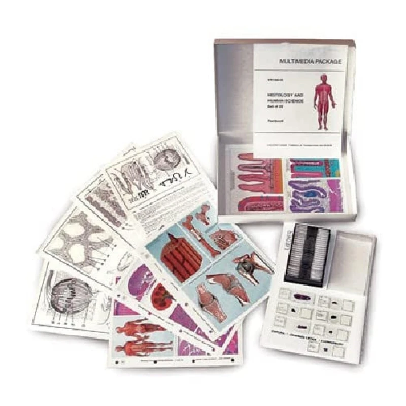 Multimedia Teacher Package Bacteria Basic Package of 6 items - Image 1
