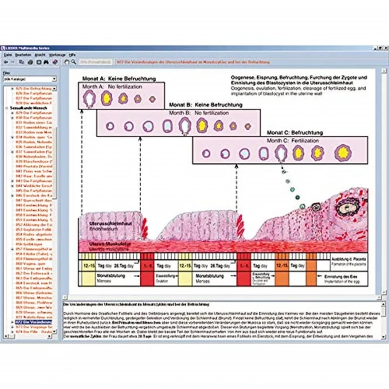 Lieder Reproduction and sex instruction; Interactive CD-ROM