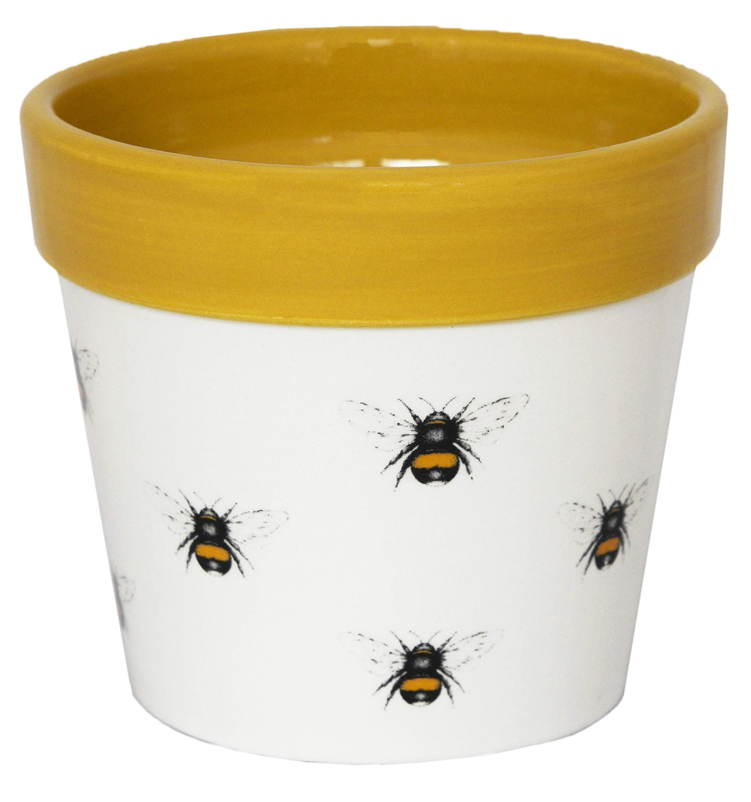 Ivyline Cacti Planter Bumble Bee H10cm D10Cm, White/Mustard