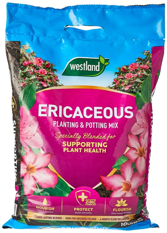Westland 11400006 Ericaceous Compost, Pink