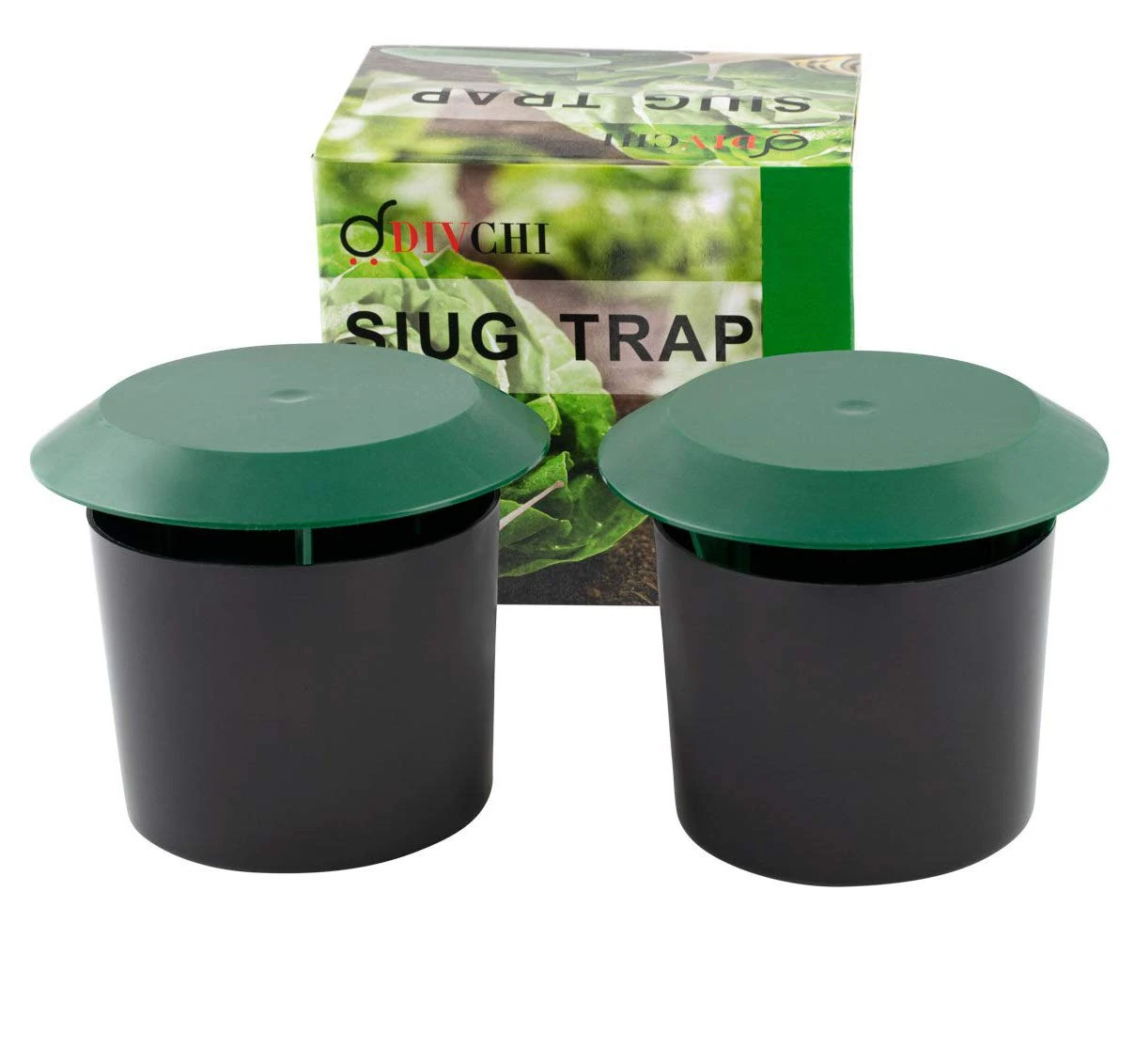 DIVCHI Beer Slug & Snail Traps Simple To Use No Pellets Safe Around Children And Pets (Pack of 2)