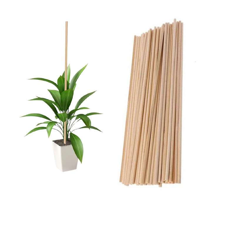 Plant Support Sticks, 45pcs 40cm Reusable Bamboo Plants Support Flower Stick Garden Tools for Garden Canes