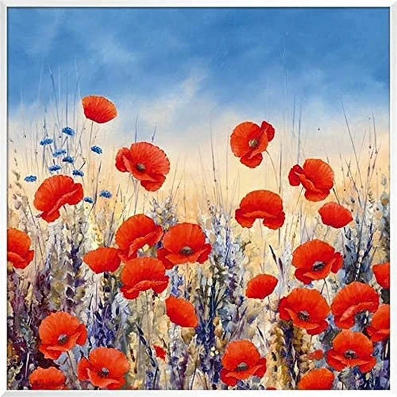 International Graphics - Framed art print - Hilary, Mayes - ''Sunset Poppies''- 51 x 51 cm - Frame Color: White - Series ATHOS