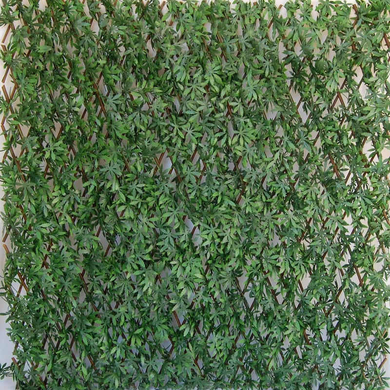 Tenax Artificial Hedge with Leaves Trellis Extensible in Willow, Divy 3D X-Tens Acer Palmatum, 1x2 m, Green