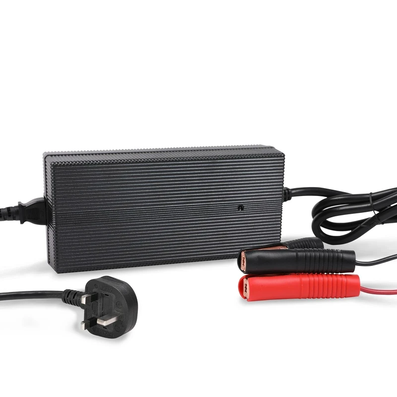 Renogy 20A 12V LiFePO4 Battery Charger, AC-DC Smart Portable Lithium-iron Phosphate Charger with Alligator Clips Connetor for for Car, RV, Motorcycle, and Truck