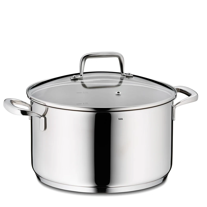 kela meat pot 24 cm FLAVORIA, cooking pot induction 5.5 L, glass lid with steam outlet valve, inner scale, cooking pot large, uncoated