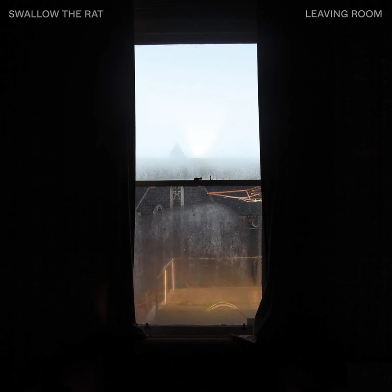 Leaving Room [Vinyl LP] [VINYL]