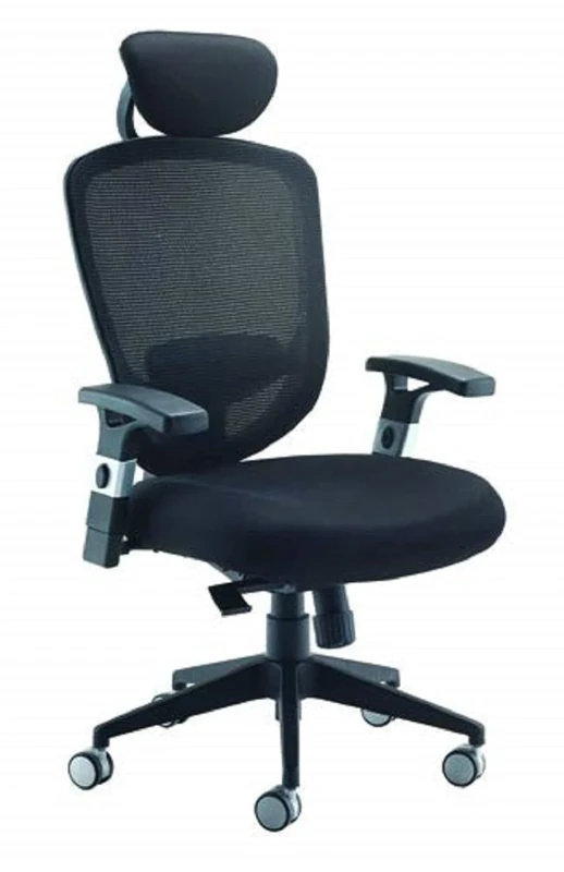 Office Hippo Office Chair Adjustable Arms, Home Office Chair, Computer Chair for Home, Black, Mesh