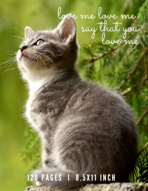 Love me love me say that you love me: A Notebook For Writing Love Stories ( 120 pages, 8.5x11 inch, Lined Notebook )