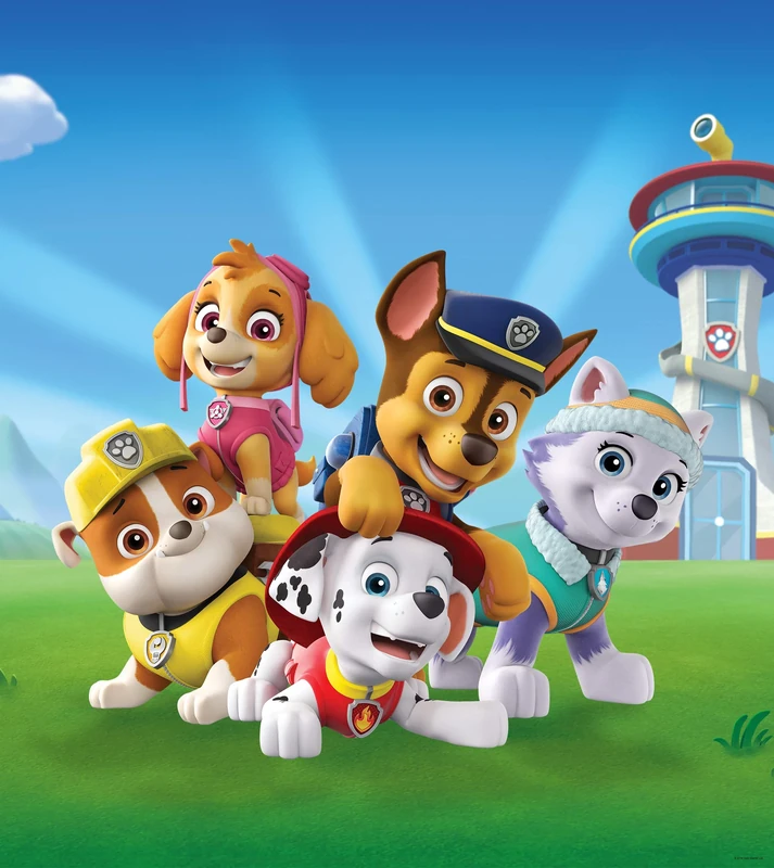 AG Design Paw Patrol Play on The Lawn Fleece Photo Wallpaper for Nursery 180 x 202 cm FTDNXL 5151, Multicoloured, 1.8W x 2L m