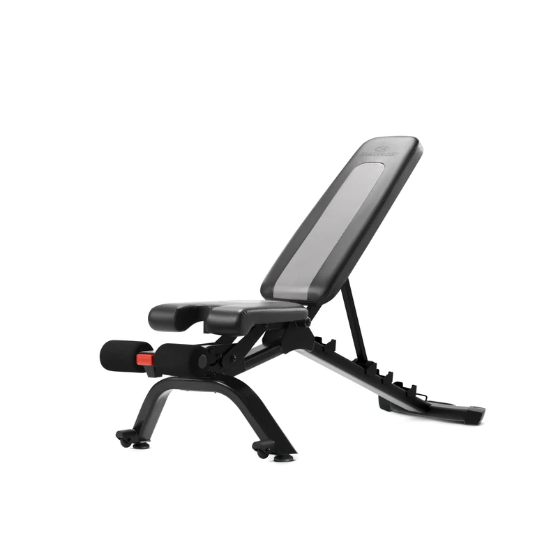 Bowflex Adjustable Weight Bench Series, 4.1S Bench,Black - Image 1