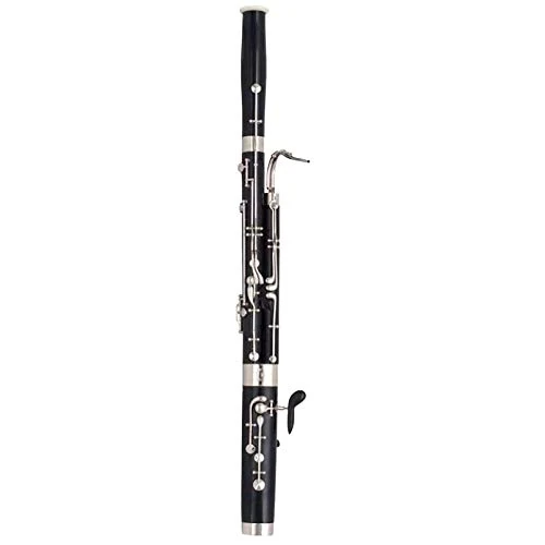Eastman® EFG-401 Quint Bassoon (Fagottino) - Perfect for Children