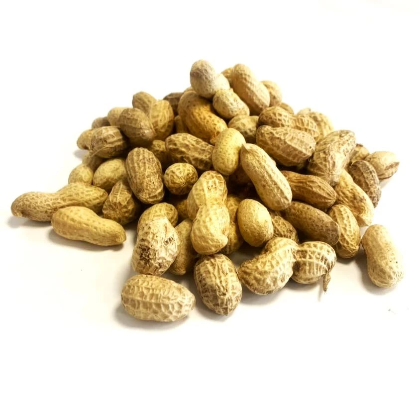 Peanuts in Shells 5kg Premium Safe Wild Bird Food Monkey Nuts Afflotoxin Free