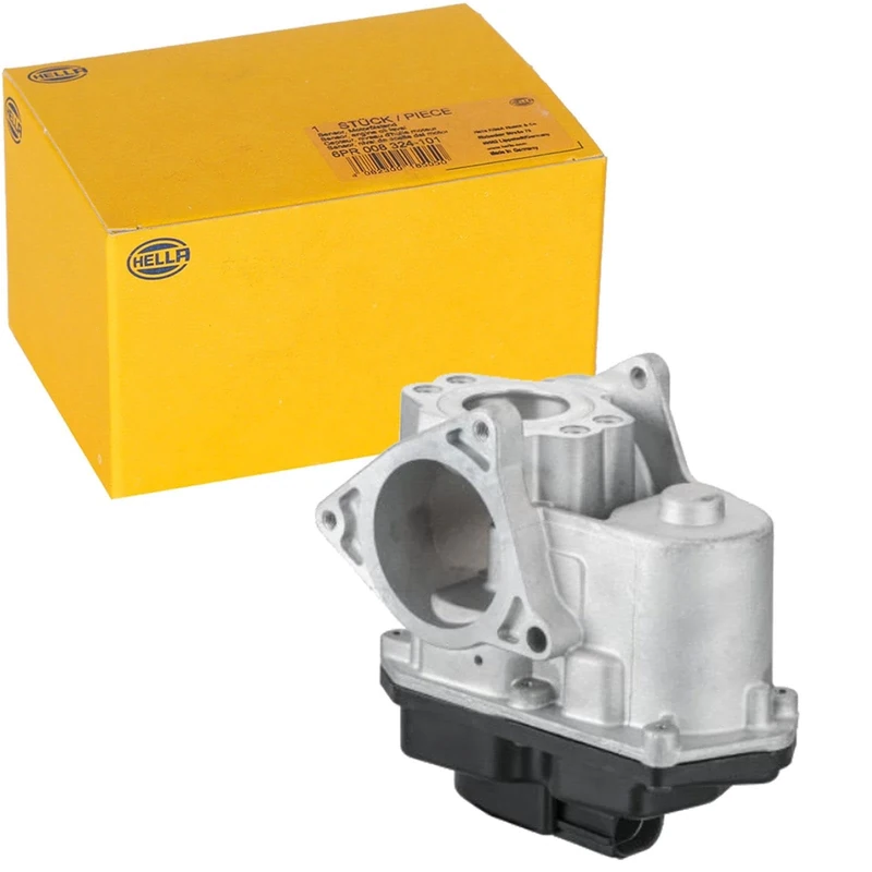 HELLA 6NU 010 171-801 EGR Valve - Electric - 5-pin connector - with seal