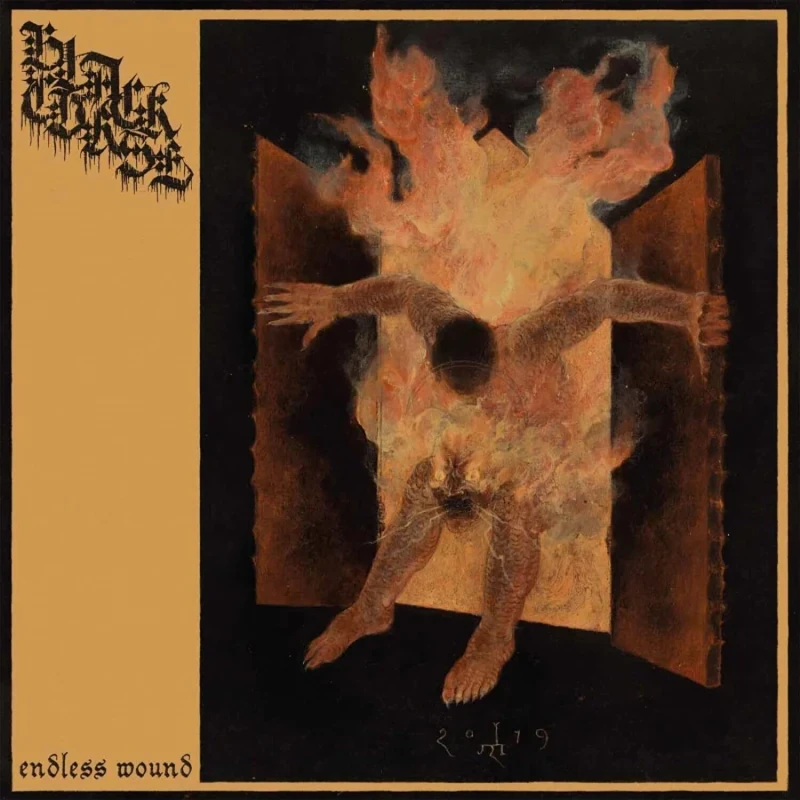 Endless Wound [VINYL]