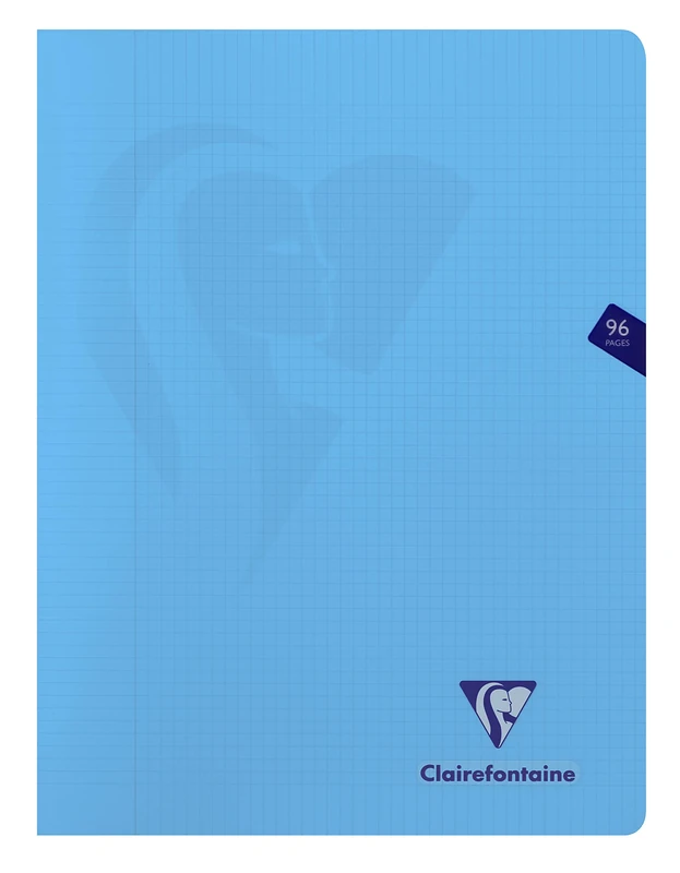 Clairefontaine 303368C Set of 10 Mimesys Stapled Notebooks - 24x32cm - 96 Pages Small Squares with Margin - White Paper 90g - Transparent Cover Random Colours