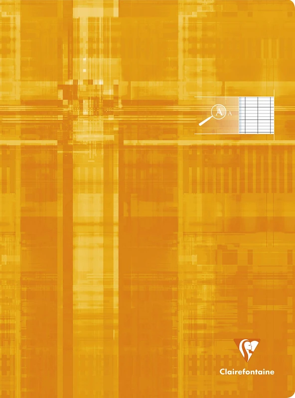 Clairefontaine 63196C Set of 10 Stapled Notebooks for the Visually Impaired 24x32 - 48 Pages, Seyes 2.5mm Enlarged - White Paper 90g - Card Cover Random Colour