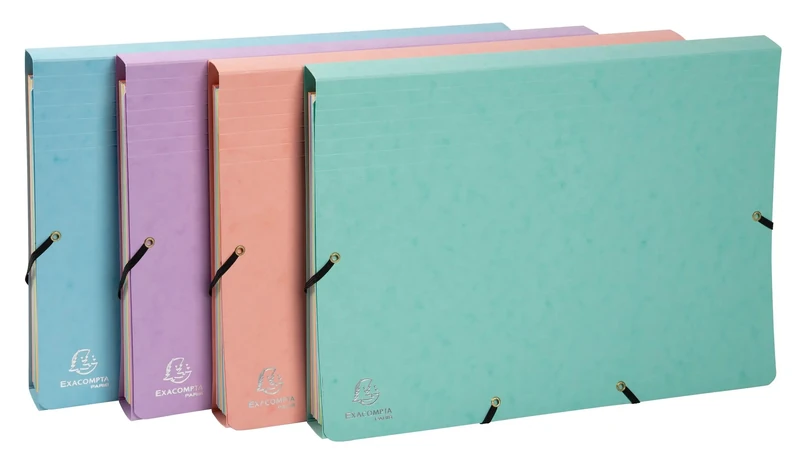 Exacompta - Ref 58560E - Aquarel Collection - Multipart Pocket Organisers - 34 x 24.5cm, Ideal for A4 Size Documents, 12 Tabbed Sections, Holds up to 250 Sheets - Assorted Colours