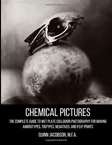 Chemical Pictures: Making Ambrotypes, Tintypes, Negatives and Prints