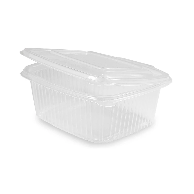 BUNZL 21228 Envase Pp Rectangular Con Tapa Bisagra - 500 ml for Adults, Made for Everyday use, 500 ml