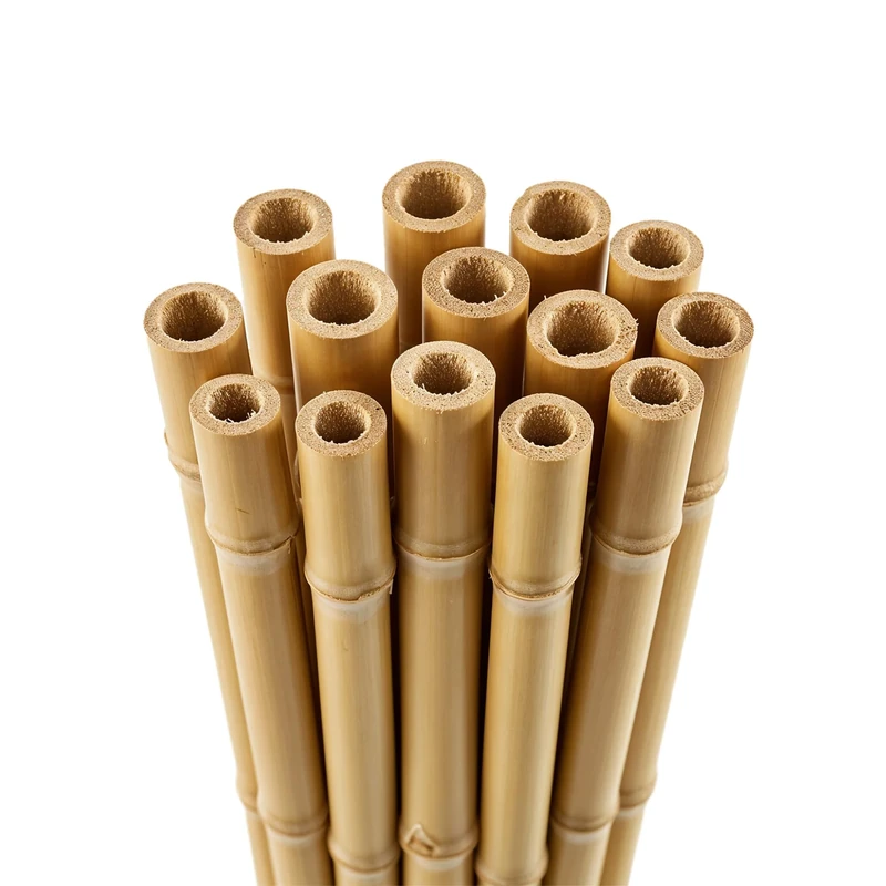 Blado Thick Bamboo Canes - Heavy Duty, Natural Garden Stakes, Strong Bamboo Sticks for Plant Support - Ideal for Gardens, Balconies, Patios, and Outdoor Spaces 2FT,3FT,4FT,5FT,6FT (100, 6ft,14-16mm)