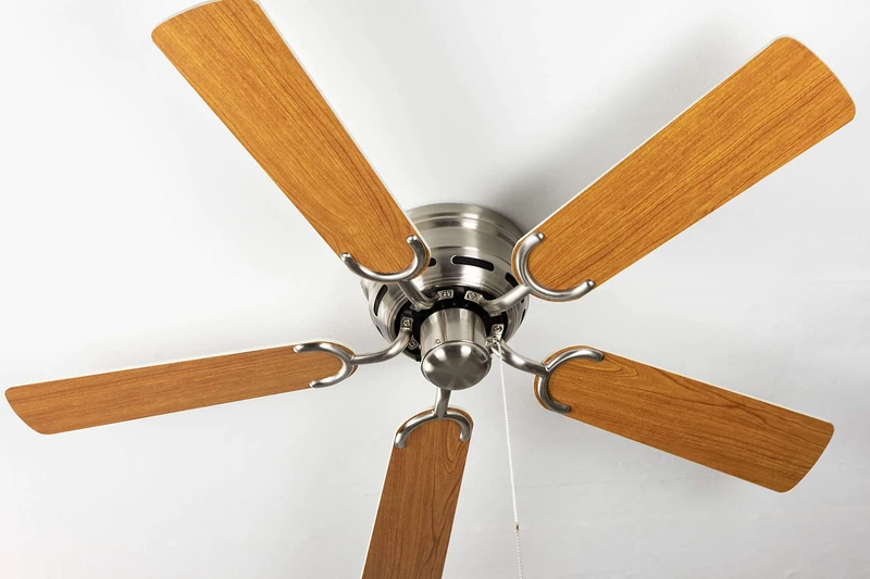Ceiling fan Kisa Deluxe brushed nickel without light - white / maple blades including pull switch
