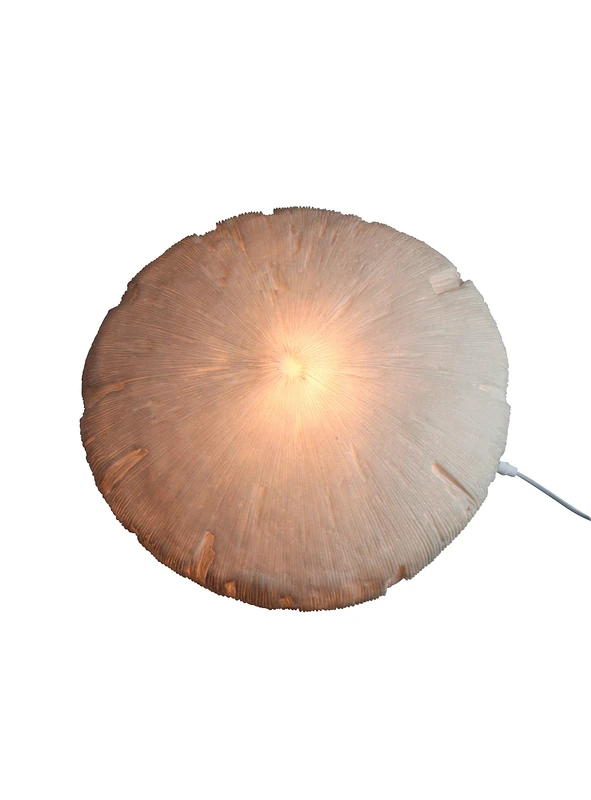 AM-Design Decorative, Sandstone, White, 63x63x16 cm - Image 1