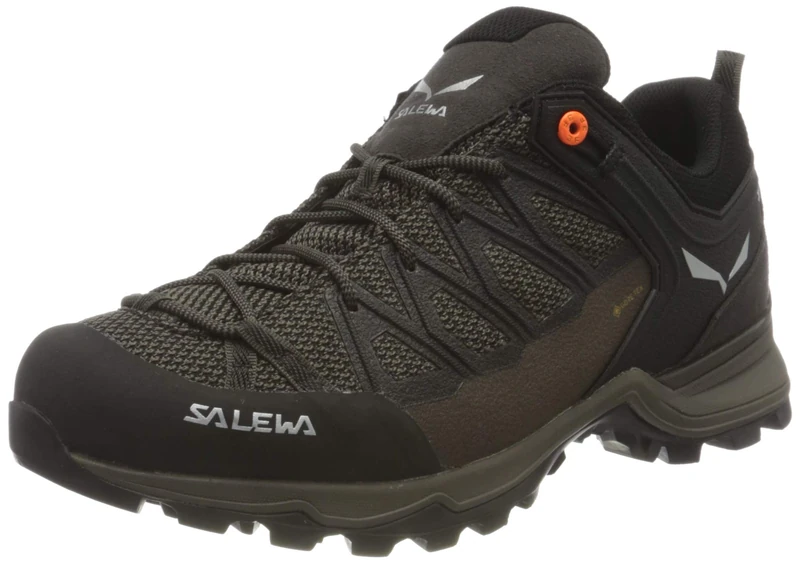 Salewa Mountain Trainer Lite Gore-Tex Men's Shoes - Image 1