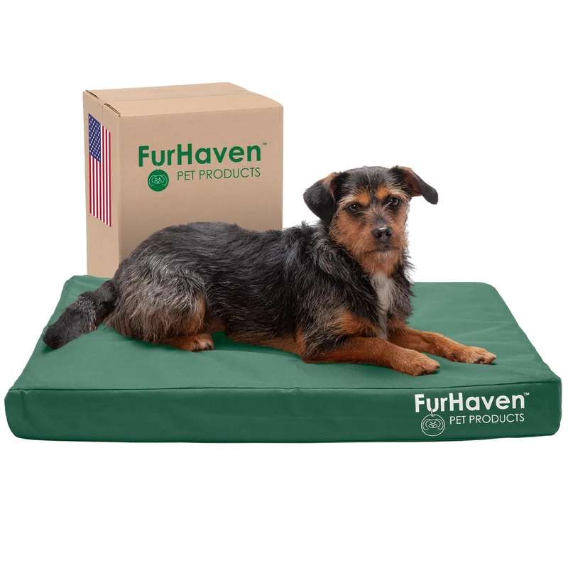 FurHaven Water-Resistant Cooling Gel Dog Bed for Medium/Small Dogs w/Removable Washable Cover, For Dogs Up to 35 lbs - Indoor/Outdoor Logo Print Oxford Polycanvas Mattress - Forest, Medium