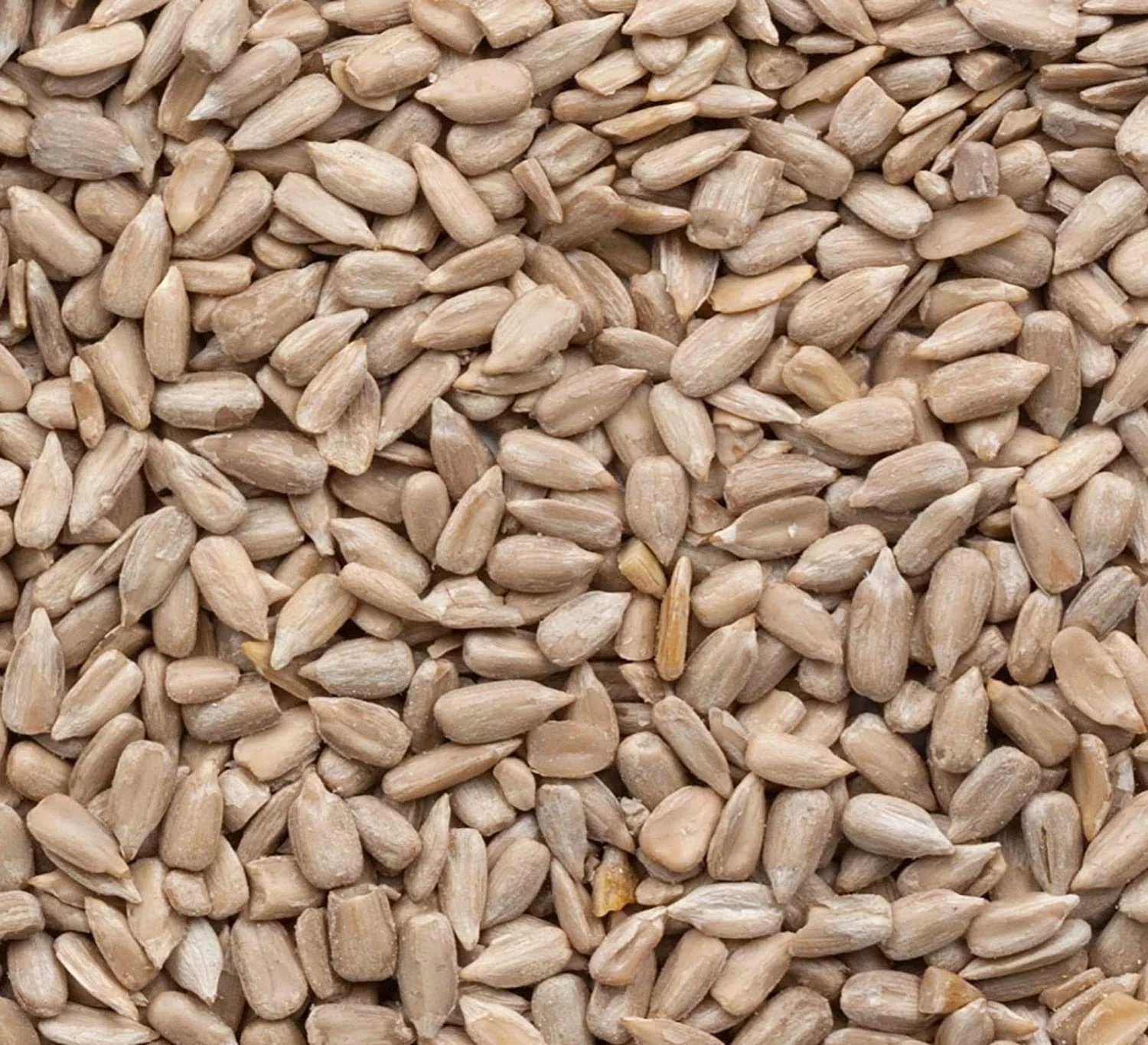 Superpet Premium Sunflower Hearts For Wild Birds (25KG)