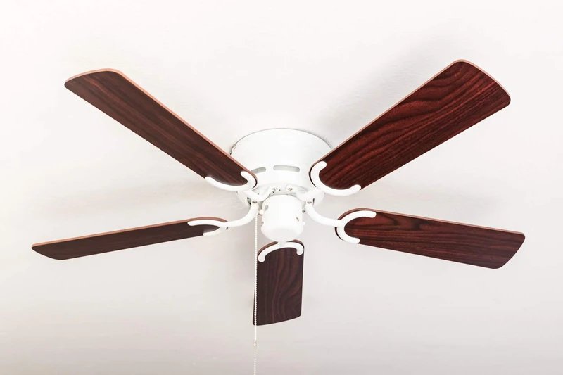 Ceiling fan Kisa Deluxe white without light - blades rosewood / dark walnut