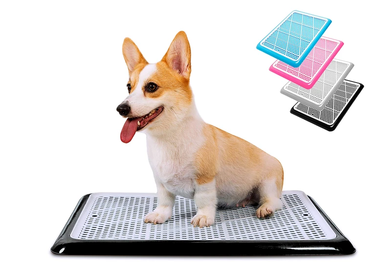 Pet Awesome Dog Potty Tray/Puppy Pee Pad Holder 25”x20” Indoor Wee Training for Small and Medium Dogs