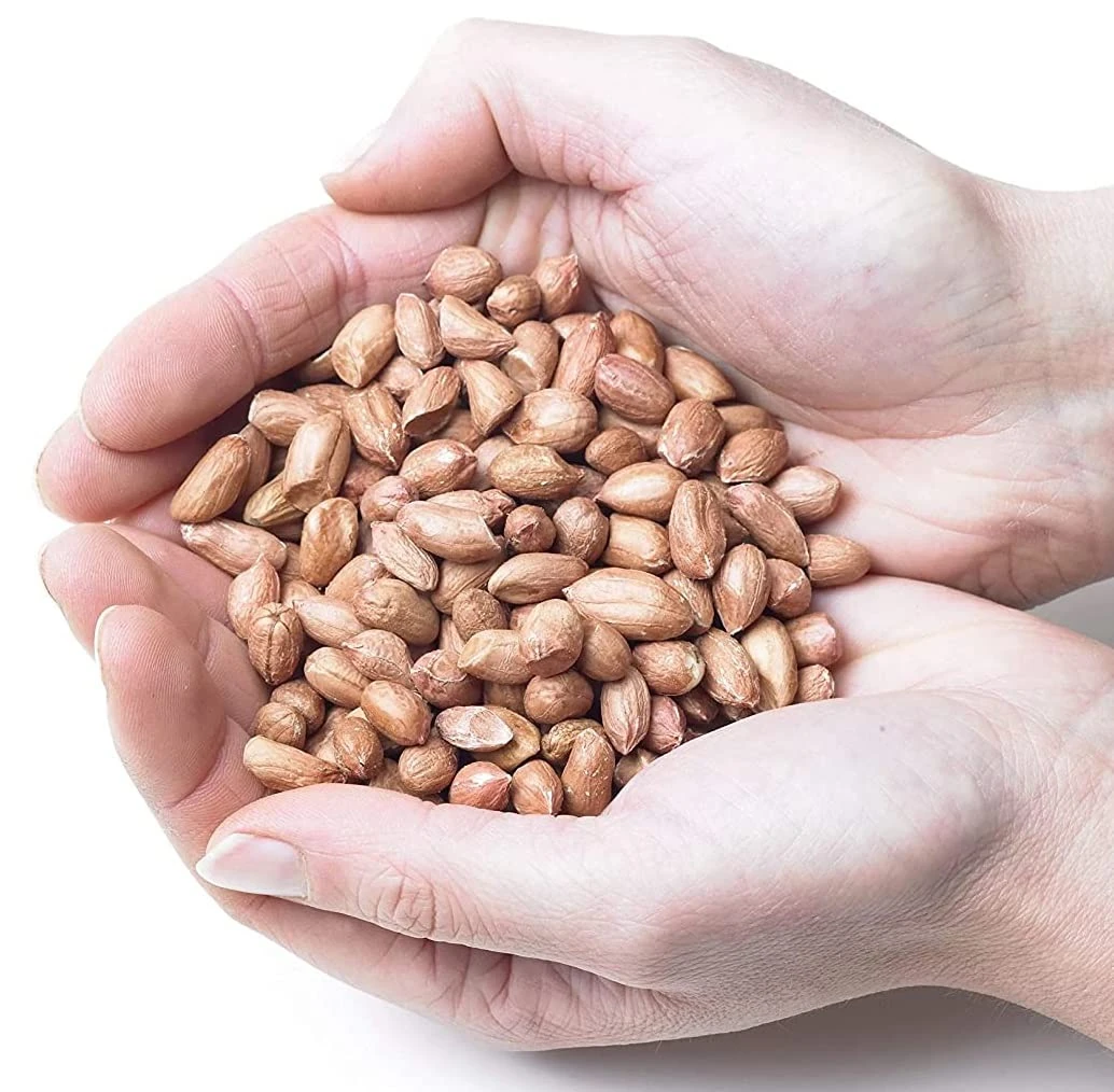 Superpet Premium High-Grade Peanuts – Nutrient-Rich Wild Bird Food for Year-Round Feeding (500g)