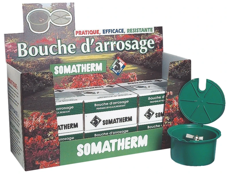 SOMATHERM for You- Presenter of 9 Watering Mouths. 2001 S, Grey - Image 1