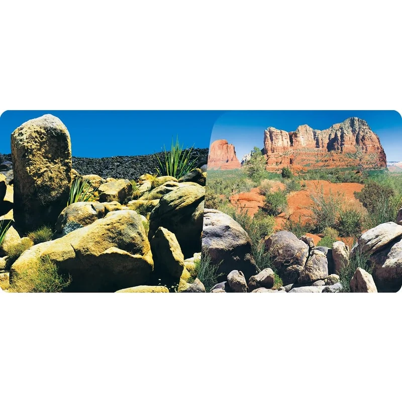 Reptiles-Planet Desert Terrarium Poster 2 Sides 1 Roll 15m Height 60cm