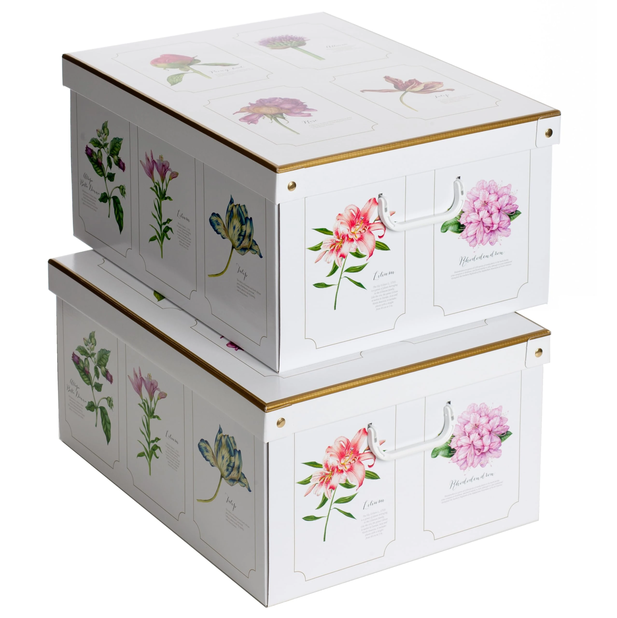 Lavatelli Collection Botanic – 2 Pack Decorative Cardboard Storage Boxes with Lids & Handles – Toy & Clothes Storage Organisers for Home, Bedroom & Archive – 50×39×24 cm (19.7×15.4×9.4 in)