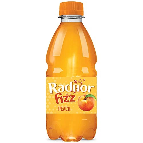 Radnor Fizz Peach NO ADDED SUGAR Juice Drink 24 x 330ml