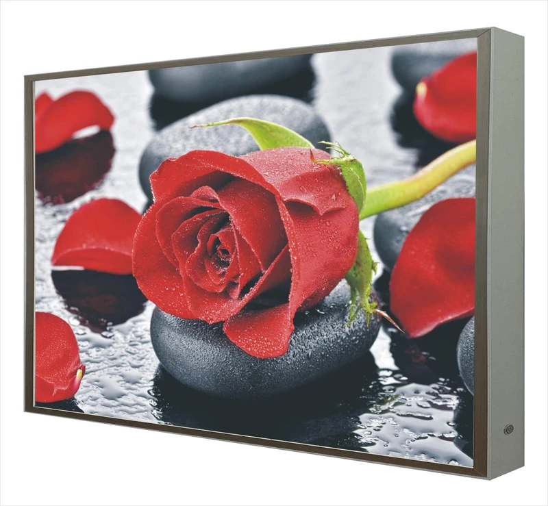 White Lacquered Wooden Frame with LED Light Pink Zen