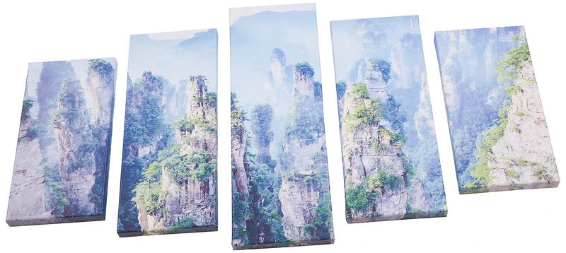 Homemania Picture, Pine Wood, Polyester, Multicoloured, 20 x 60 x 3 cm, 2 Units