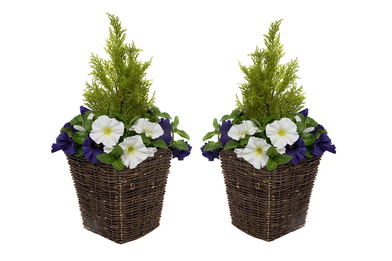 Greenbrokers 2 x Artificial Dark Purple & White Faux Silk Petunias with Conifer Topiary Ideal for Home, Patio, Garden Outdoor Living 60cm/23.5in