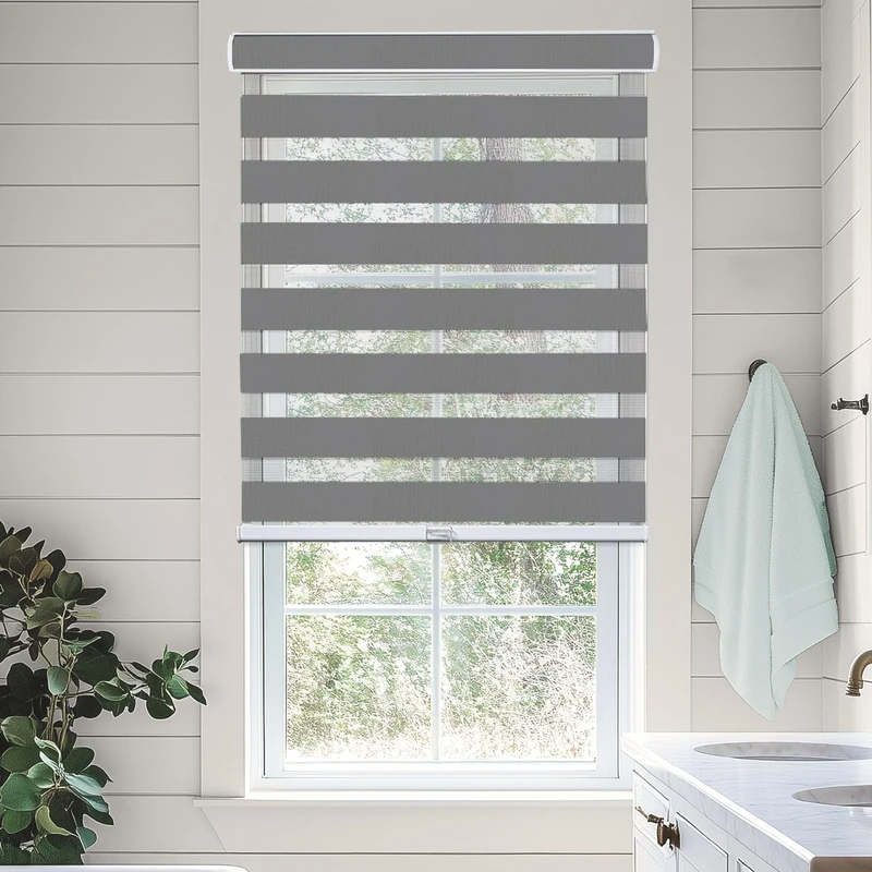 Chicology Zebra Blinds, Roller Window Shades, Blinds for Windows, Roller Shades for Windows, Window Shades for Home, Window Shades, Pull Down Shades for Windows, 30" W X 72" H, Basic Slate
