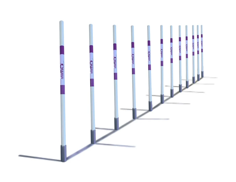 Animo Concept AGILITY RUN SLALOM Training corridor accessory for dogs