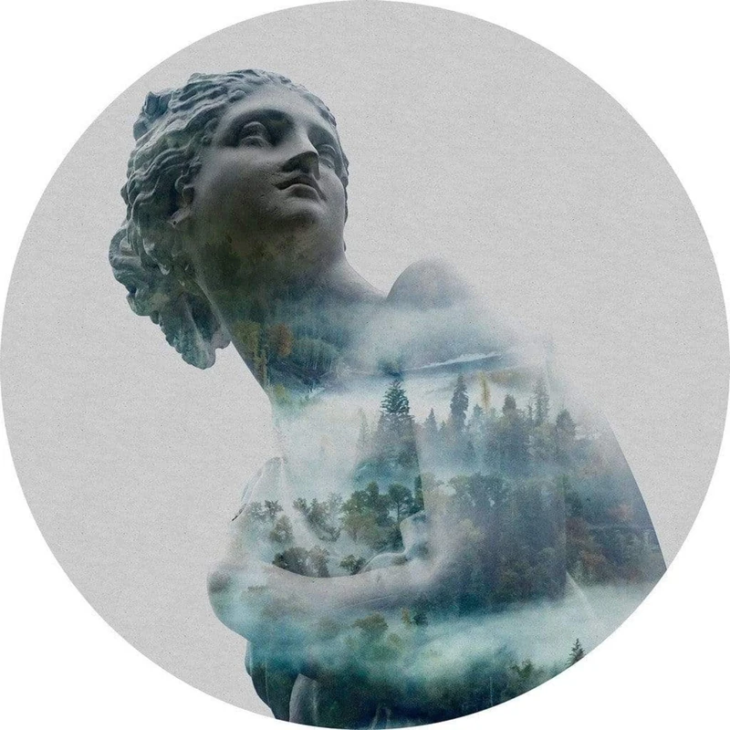 Komar D1-049 Dot Self Adhesive Non-Woven Round Photo Wallpaper Blue White